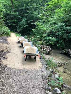 "In Einerkolonne Marsch" 🤣