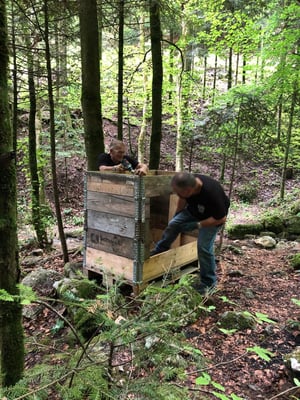 der geht ja schon wieder rein ;-((