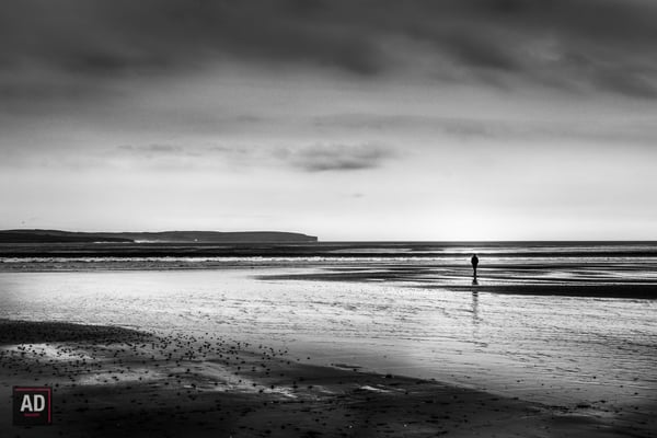 Into the great ocean