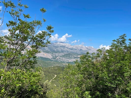 die Fahrt schlängelt sich wie bei einem Pass den Berg hoch
