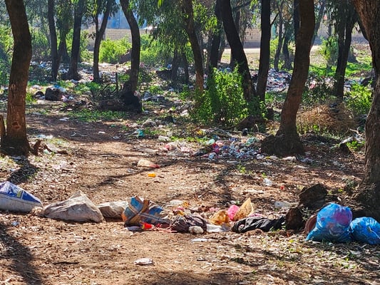 ein schöner Park - leider stark verschmutzt mit Abfall