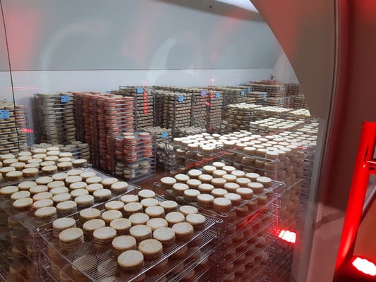 Lagerung zur Reifund in kontrolliertem Klima