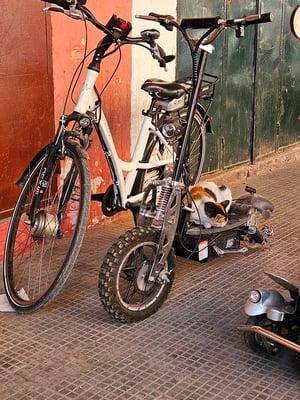 wo auch eine Katze mal einen (fast) fahrbaren Untersatz findet