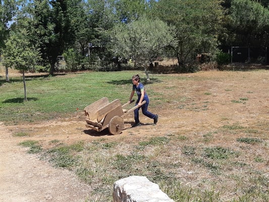 Abtransport des Aushubmaterials