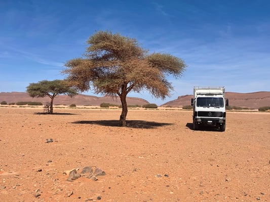 ein weiterer Pinkelstopp