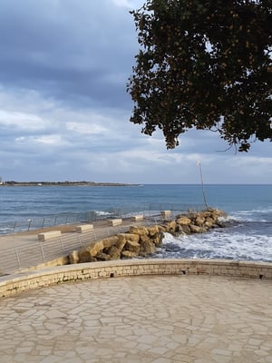 die Umgebung ist sauber und gepflegt