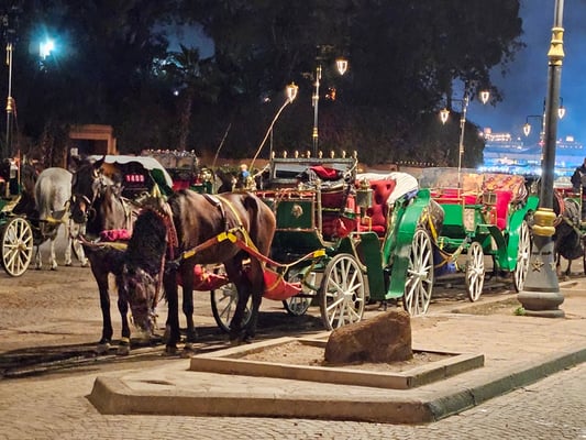 wo wir noch an sicher 2 Dutzend Pferdefuhrwerken vorbeikommen - alle wollen dass wir einsteigen und eine Rundfahrt machen