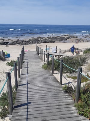 deshalb wurden überall Holzstege gebaut um ans Wasser zu gelangen