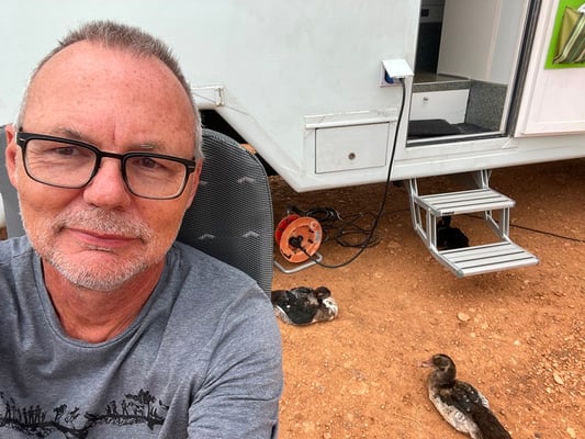 und legen sich sogar direkt vor unser WoMo.