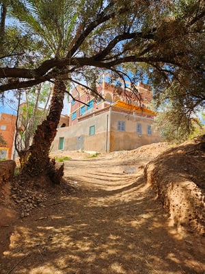 es geht los im Palmenhain