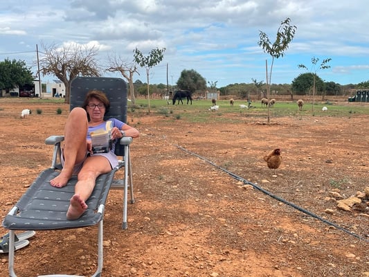 auf dem Hippie-Stellplatz laufen Hühner, Gänse, Ziegen, Pferde und Hunde frei herum