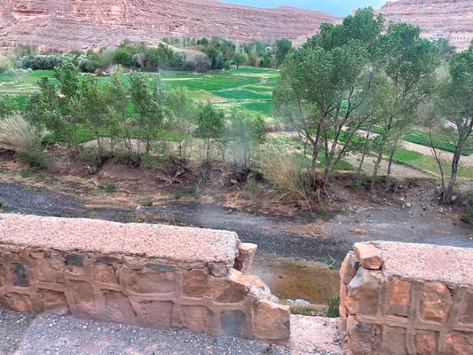 auch hier ist es oft grün