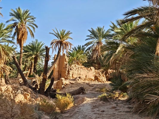 Man könnte so viel aus dieser Oase machen, aber vieles lassen sie einfach zerfallen ... schade