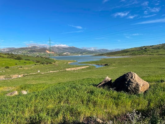 sieht doch schön aus, nicht?