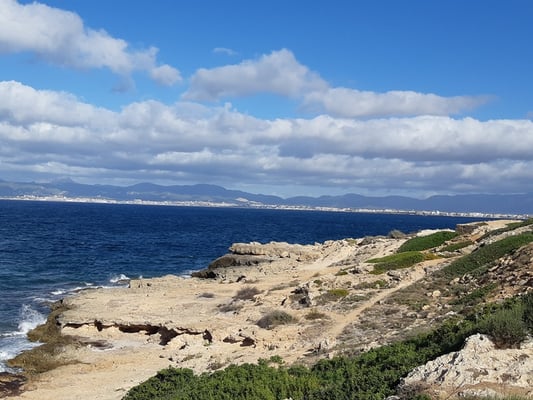am Vormittag bummeln wir der Playa de Palma entlang