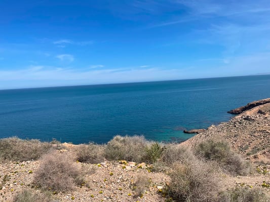 wir fahren weiter der Küste entlang