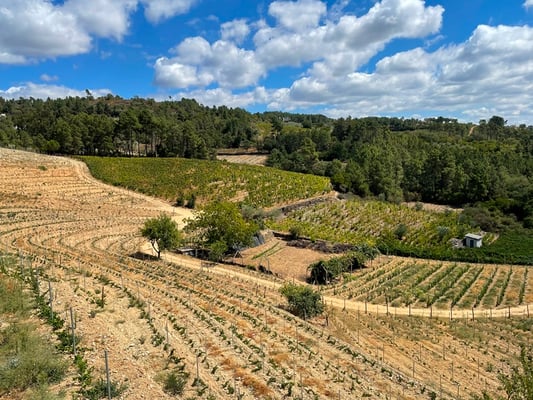 und die Gegend ist traumhaft