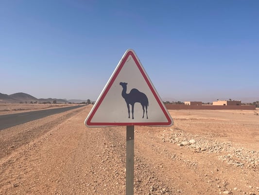 ... aber immer mal wieder kommen solche Tafeln