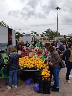 viele Farben - viele Besucher