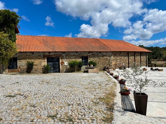bei diesem Weinbauern wollten wir Wein und Olivenöl versuchen