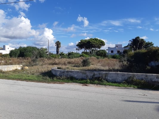 oder einige Grundstücke liegen noch ganz brach