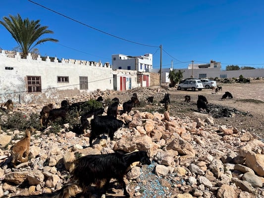 welche mitten durch das Dorf getrieben wird