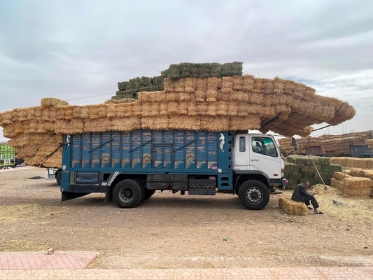 so wird das Stroh transportiert: man geht mit der Ladung bis an das Gewichtslimit der LKW's