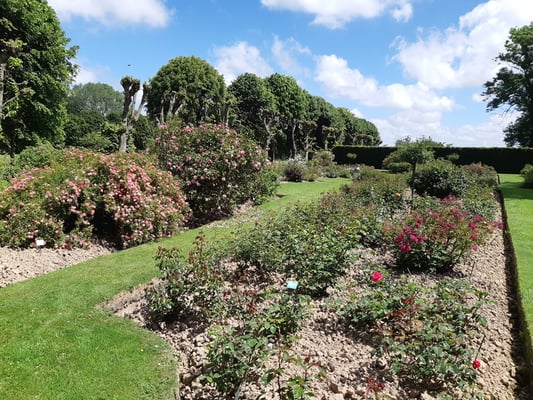 2000 verschiedene Rosensorten ...