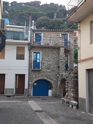 meist geschickt kombiniert