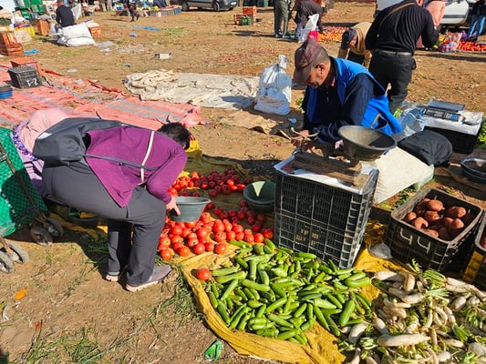 trotzdem kaufen wir Orangen, Tomaten und Kartoffeln