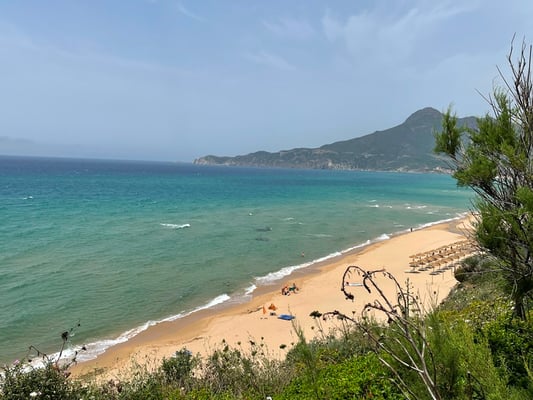 aber auch direkt oberhalb vom Strand