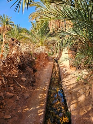 auch zu den einzelnen Gärten gibt es Kanäle