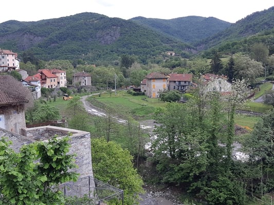 eine schöne und grüne Umgebung