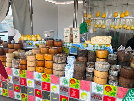 grosses Angebot an sardischem Käse