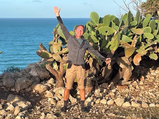Gegen den Wind sind Kakteen ein guter Schutzschild.