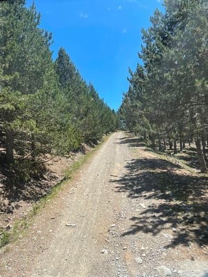 deshalb fahren wir weiter - hinauf