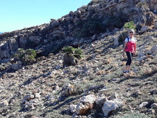 es wird beinahe zur Kletterpartie