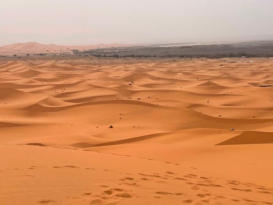 nein, wir sind nicht in der Wüste, es ist "nur" ein Erg, der Erg Chebbi