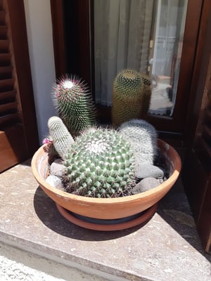 hier könnten Tobias und Laura wohnen ;-)