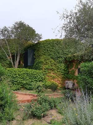 einige sehen lustig aus, komplett überwachsen