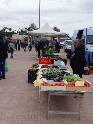 Wochenmarkt in Porto Torres