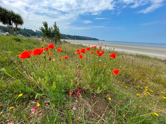 leider ist es etwas zu kühl um zu "sünnelen" - trotzdem schön