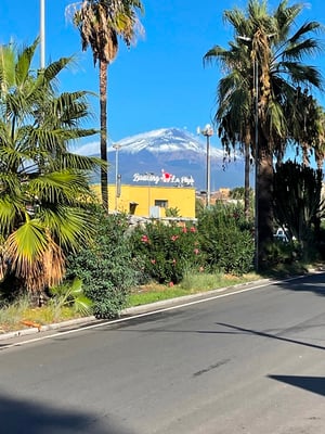 die Kobination macht es aus: im Vordergrund Palmen - im Hintergrund Schnee!