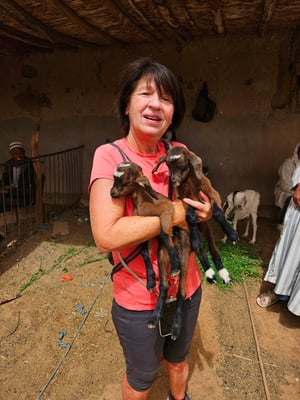 diese zwei kleinen Ziegen wollte Brigitte beinahe nach Hause nehmen - bei Myrtha hätte es sicher noch Platz ...