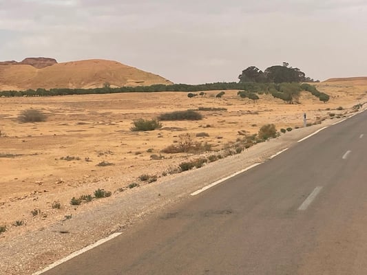 wie schon gesagt ...