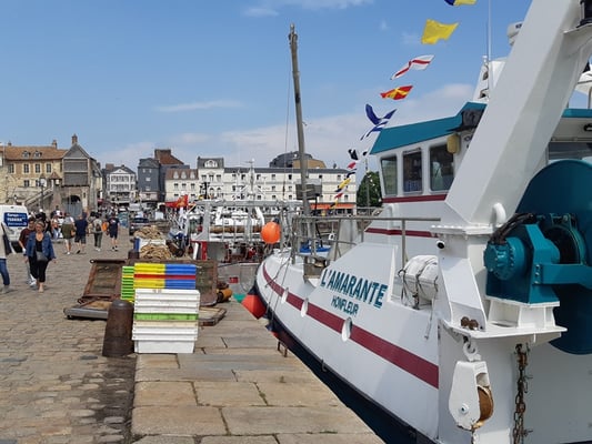 Fischerboote im Hafen von Honfrleur