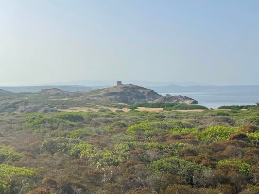 wir fahren noch einmal über die teilweise wilde Landschaft von Westsardinien ...