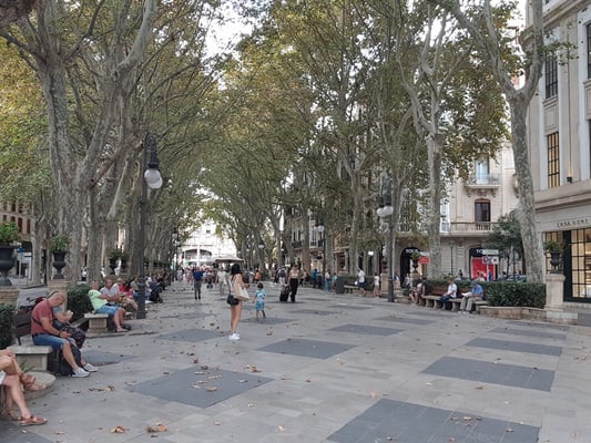 über breite Boulewards