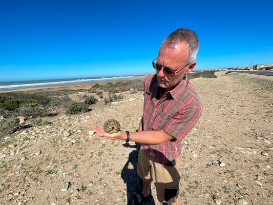 und plötzlich ein anderes Tier: