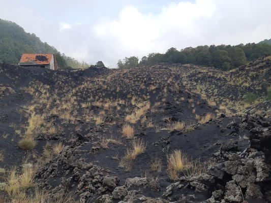 hier sieht man verschiedene Lava-Ströme - jeder hat eine etwas andere Farbe